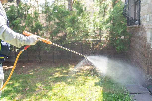 Best Pest Prevention Services  in Liberty Lake, WA